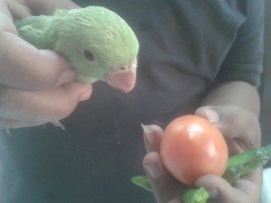 20150521_124342