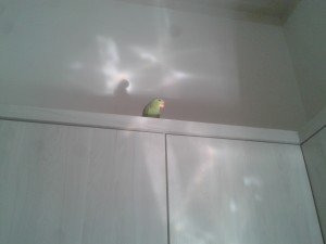 20150521_155610